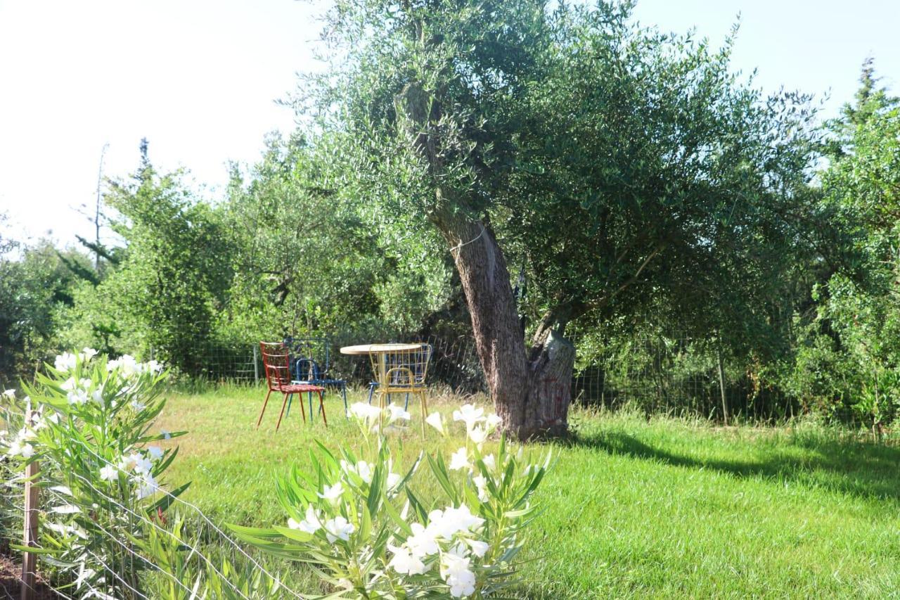 Essos Villas Дхерми Экстерьер фото